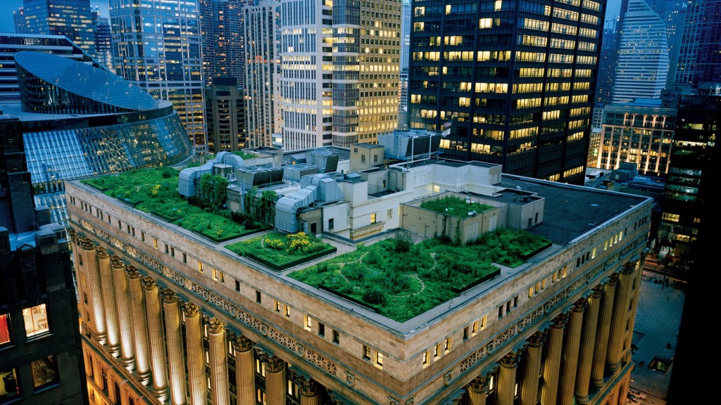 Green Roof del Ayuntamiento Chicago