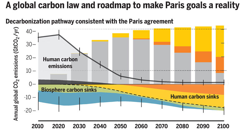 Ley del carbono